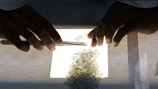 A worker sorts diamonds according their color (AP Photo/Themba Hadebe)