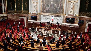 النائبة الفرنسية التي تقدمّت بقانون لمكافحة "خطاب الكراهية" متهمة بالعنصرية