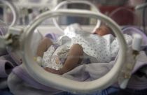 Bébes de barrigas de aluguer recuperados na Ucrânia