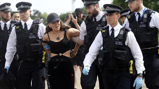Londra Hyde Park'taki gösterilere polis müdahale etti
