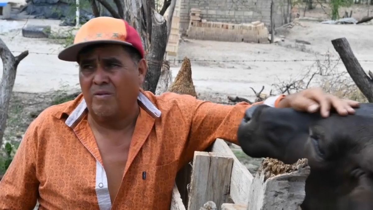 Ángel, uno de los mexicanos que decidieron volver de EEUU por la pandemia