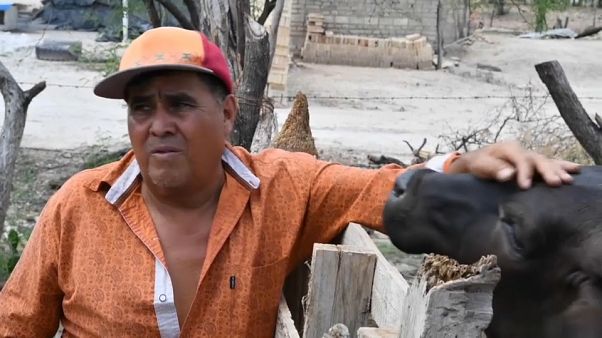 Ángel, uno de los mexicanos que decidieron volver de EEUU por la pandemia Ángel, uno de los mexicanos que decidieron volver de EEUU por la pandemia