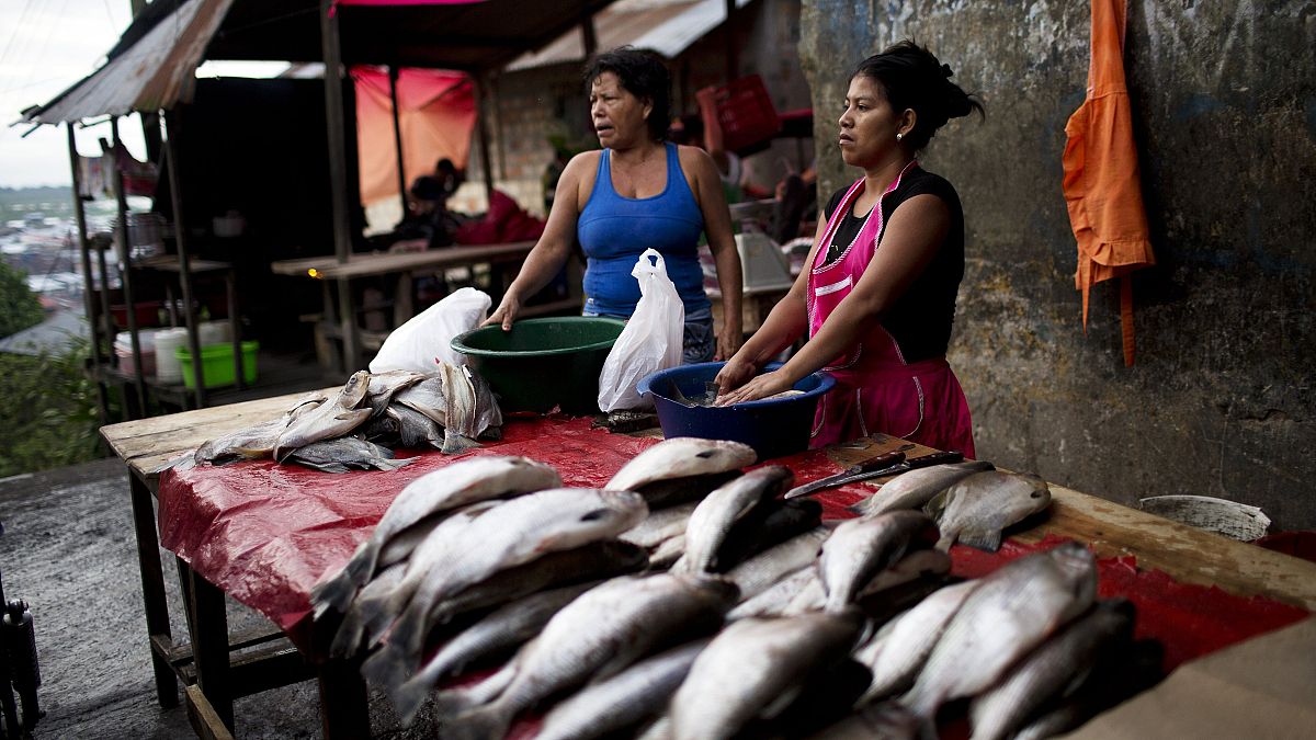 Vendedoras de pescado en Iquitos