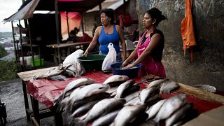 Vendedoras de pescado en Iquitos