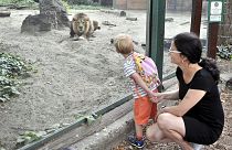 Будапештский зоопарк вновь распахнул свои двери