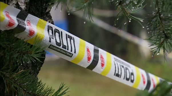 Philip Manshaus, 22, is on trial for "homicide" and a "terrorist act". Philip Manshaus, 22, is on trial for "homicide" and a "terrorist act".