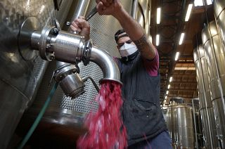 Lambrusco wine at a winery near Reggio Emilia, central Italy.