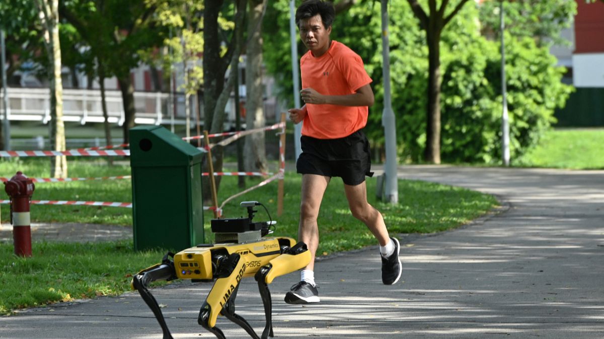 سبوت، الروبوت الكلب، الذي يعمل على مراقبة المسافات الآمنة كإجراء وقائي ضد انتشار فيروس كورونا في حديقة بسنغافورة