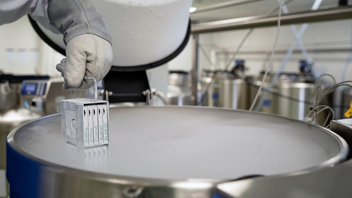 عملية تخزين عينات من الخلايا الجذعية في مجمدات النيتروجين السائل بولندا - 2019/11/26 