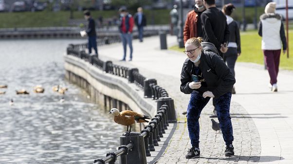Женщина фотографирует утку в московском парке. В городе введен режим карантина. Женщина фотографирует утку в московском парке. В городе введен режим карантина.