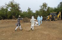 حفار القبور في مقبرة نيودلهي محمد شميم