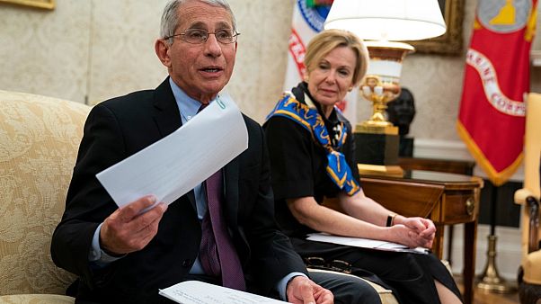 Dr. Fauci Dr. Fauci