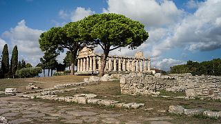 Athena-Tempel in Paestum