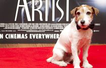 Uggie at a special screening at a London cinema, 2012.