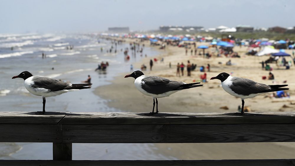 No Comment : les Texans retournent à la plage malgré le Covid-19