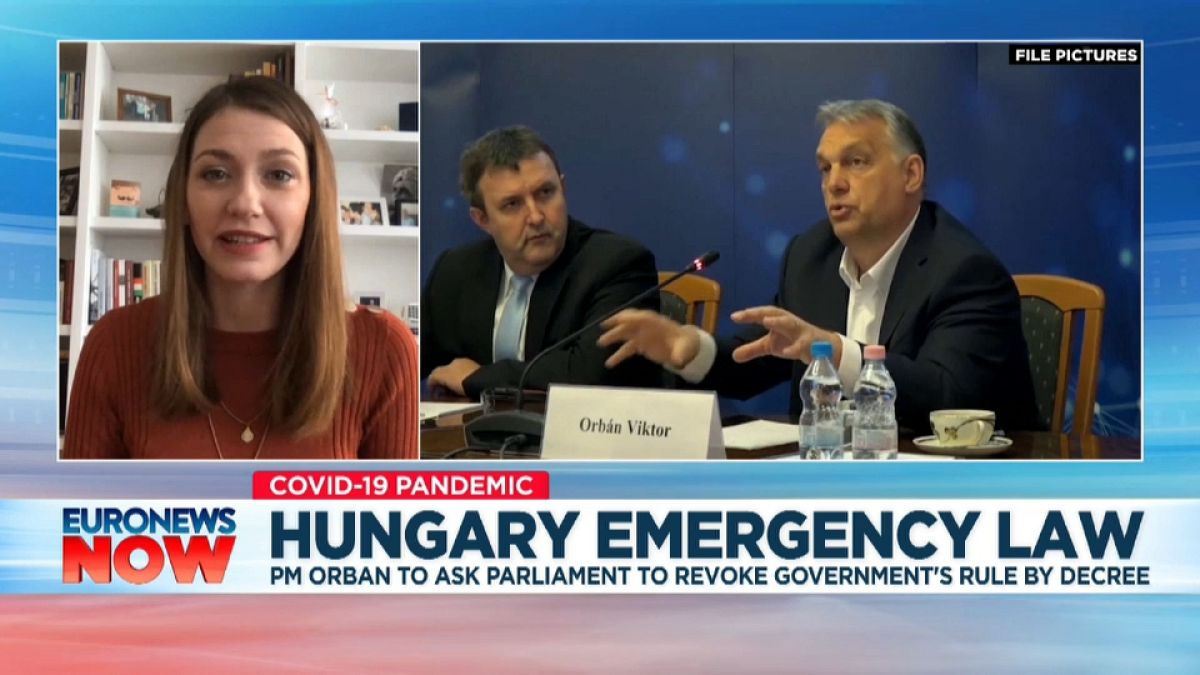 Anna Donath, Hungarian MEP speaking to Euronews