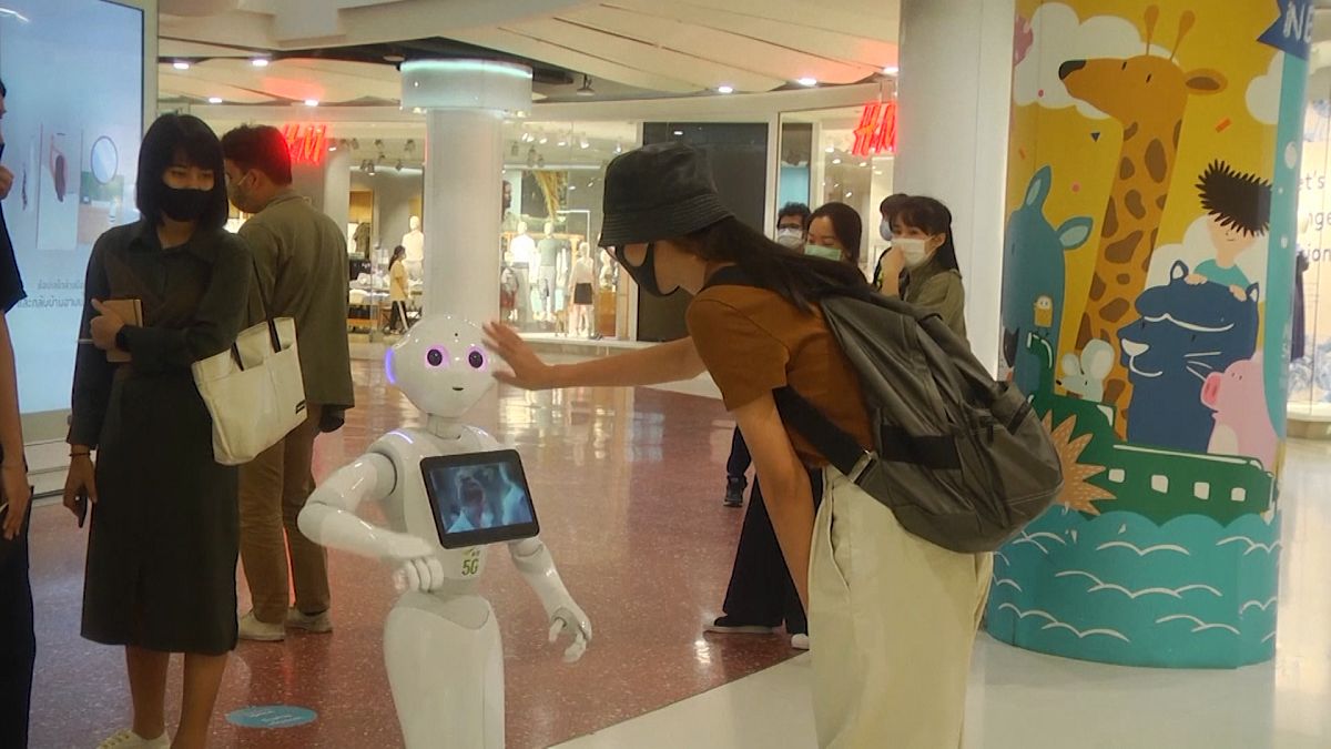 Shopper interacting with "PP" robot