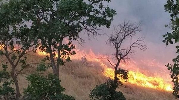 خبرگزاری ایرنا