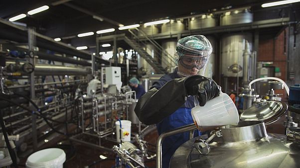 Creación a gran escala y bajo coste de materiales bioprocesados gracias a un proyecto europeo Creación a gran escala y bajo coste de materiales bioprocesados gracias a un proyecto europeo