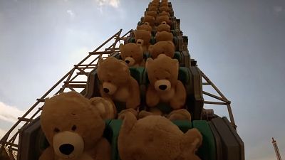 خرس‌های عروسکی به جای آدم‌ها سوار ترن هوایی شدند
