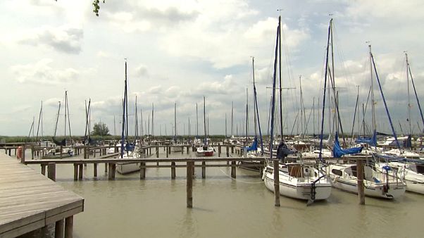 El lago Neusiedl en Austria se está quedando sin agua. El lago Neusiedl en Austria se está quedando sin agua.