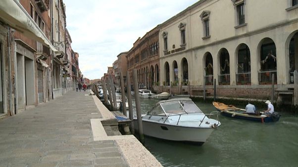 La topetta in legno e con motore elettrico La topetta in legno e con motore elettrico