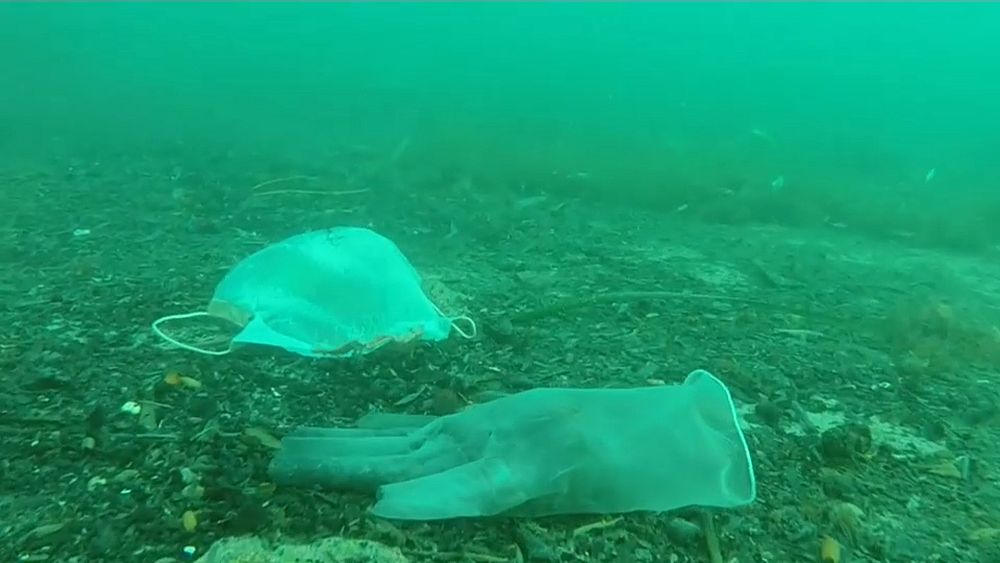 World Oceans Day: France increases fines for littering as plastic masks and gloves found on seabed