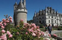 Замок Шенонсо (Франция)