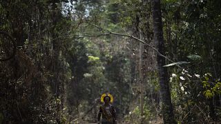 Őslakos a brazíliai őserdőben
