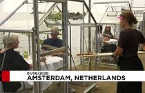 گلخانه‌های کوچک دو نفره؛ ایده رستورانی در آمستردام در روزهای کرونایی