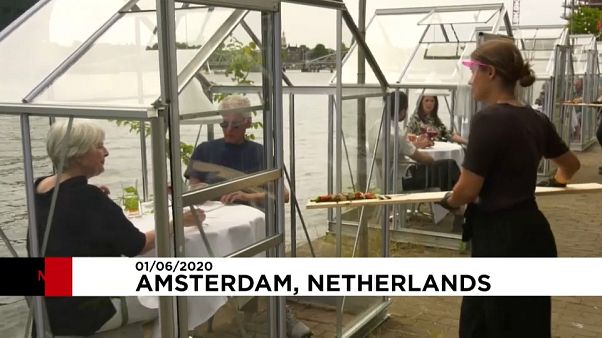 Speisen Sie im Gewächshaus in Amsterdam! Speisen Sie im Gewächshaus in Amsterdam!