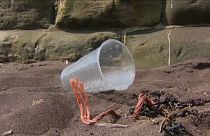 Un vaso de plástico en la playa