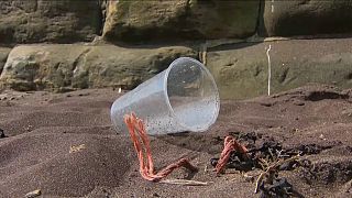Un vaso de plástico en la playa