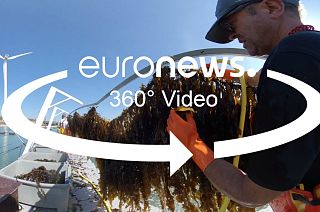euronews