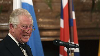 Prince of Wales gives a speech during a dinner at the Munich Residence, Thursday, May 9, 2019 in Munich, Germany