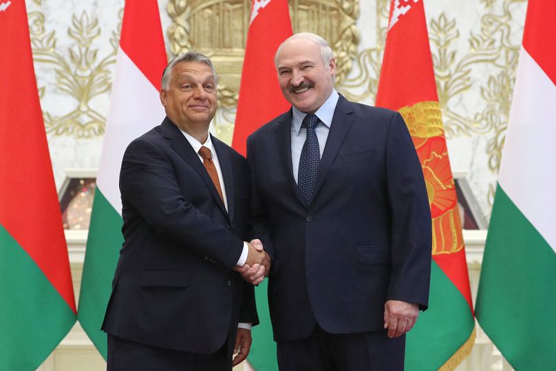 Belarus presidential election: Will the lights go out on Lukashenko in 2020?