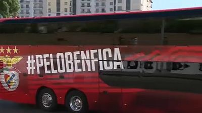 A Benfica busza