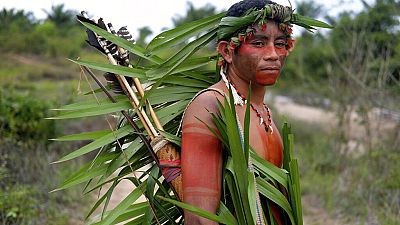 Indigenous-governed land has the highest levels of biodiversity. Indigenous-governed land has the highest levels of biodiversity.