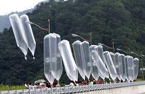 Güney Kore'den Kuzey'e gönderilen balonlar
