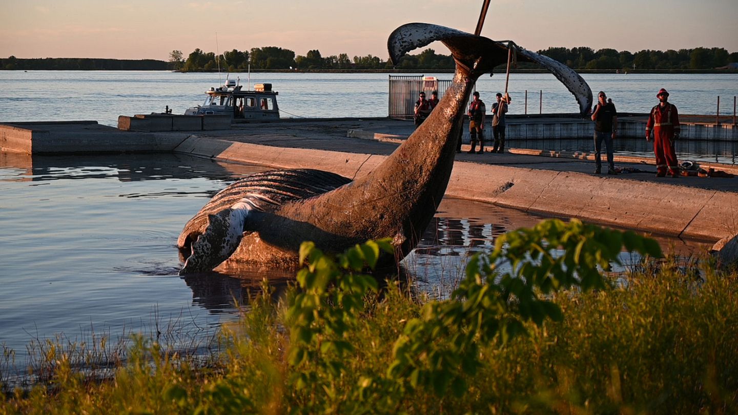 Une guerre de l'eau à Montréal