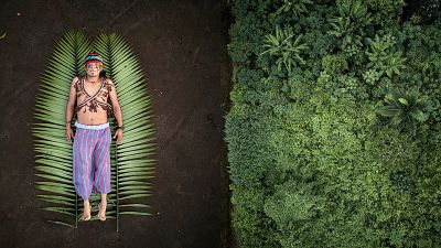 José is one of the leaders of the Achuar indigenous people in the Sharamentsa community. He defends his rainforest by generating collaborative projects. José is one of the leaders of the Achuar indigenous people in the Sharamentsa community. He defends his rainforest by generating collaborative projects.
