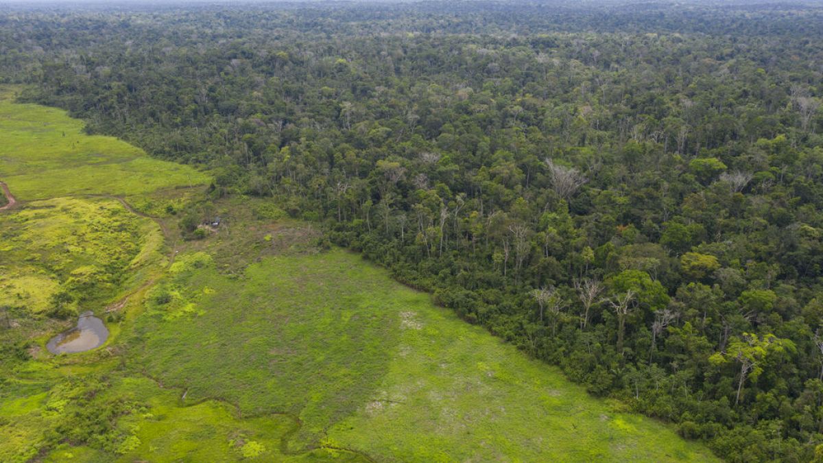 Aerial views of the lush Alto Rio Guama Indigenous Reserve saddled next to a deforested area owned by cattle ranchers, in Para state, Brazil