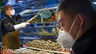 Çin'in başkenti Pekin'deki balık pazarından bir kare