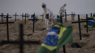 Brazil Virus Outbreak