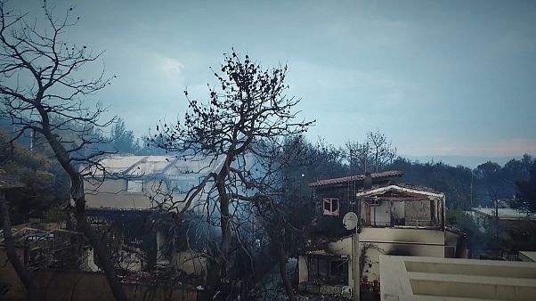 Claves de la lucha contra los incendios forestales Claves de la lucha contra los incendios forestales