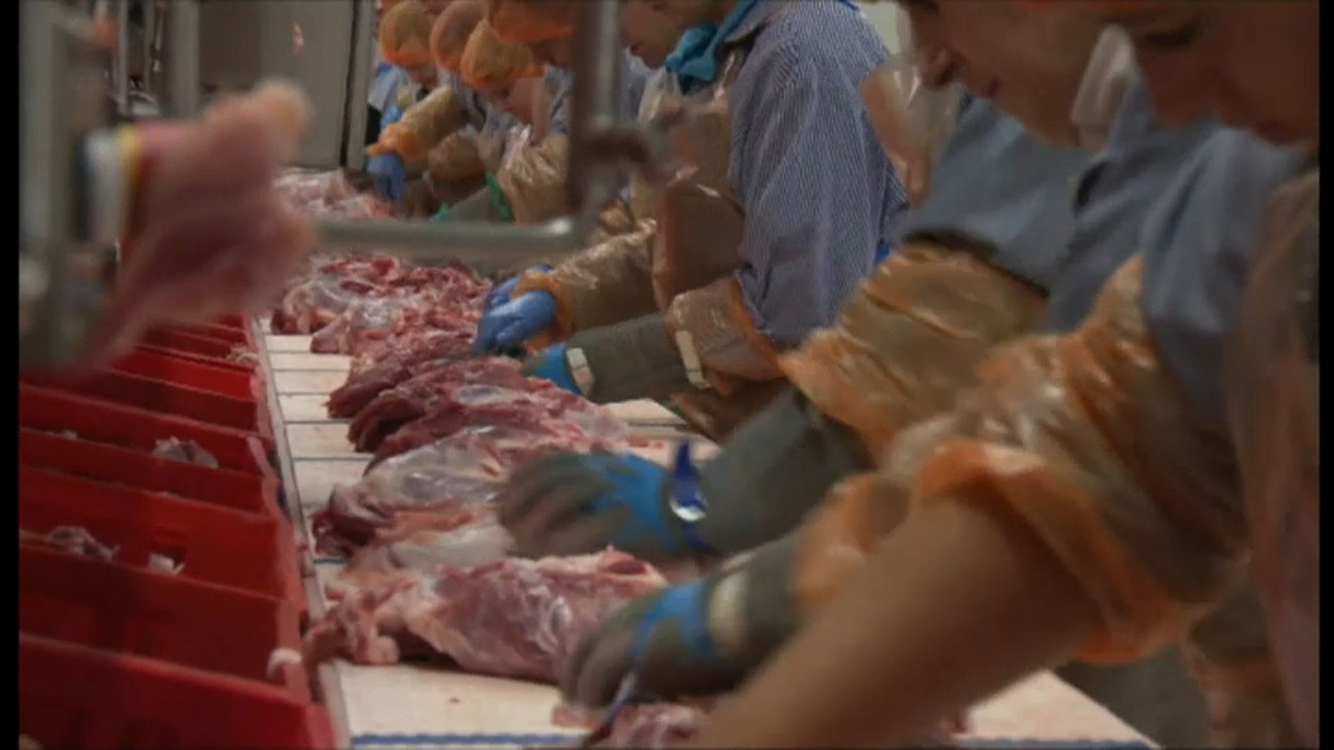 Más de 650 casos de covid entre los trabajadores de un matadero en ...