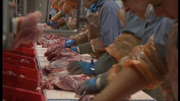 Más de 650 casos de covid entre los trabajadores de un matadero en Alemania Más de 650 casos de covid entre los trabajadores de un matadero en Alemania