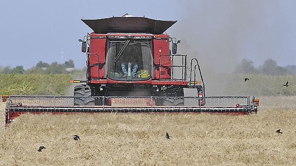 Agriculture Agriculture