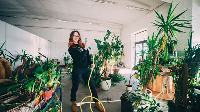 Aistė Virketė rescues plants that no one wants at her plant shelter in Lithuania. Aistė Virketė rescues plants that no one wants at her plant shelter in Lithuania.