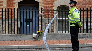 La polizia di guardia all'ingresso dell'abbazia di Forbury Gardens, l'indomani dell'attacco nei giardini di Reading, in Inghilterra